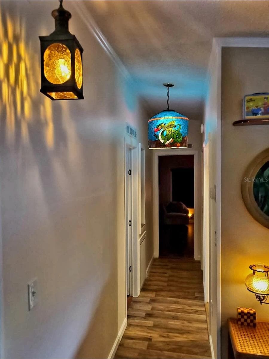3505 PATRICIA PLACE — photo 17 of 48