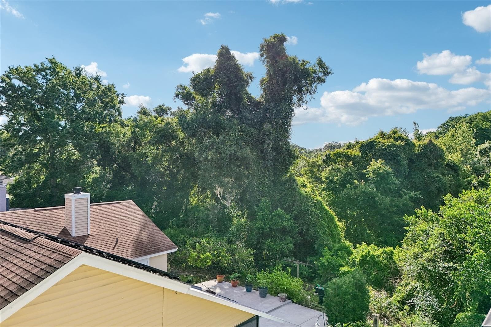 1167 WOODLAND TERRACE TRAIL — photo 52 of 71