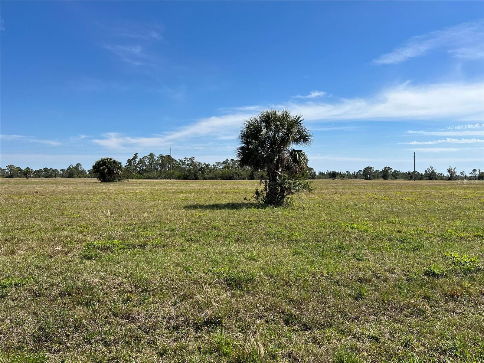 12368 GREENLING WAY — photo 8 of 13