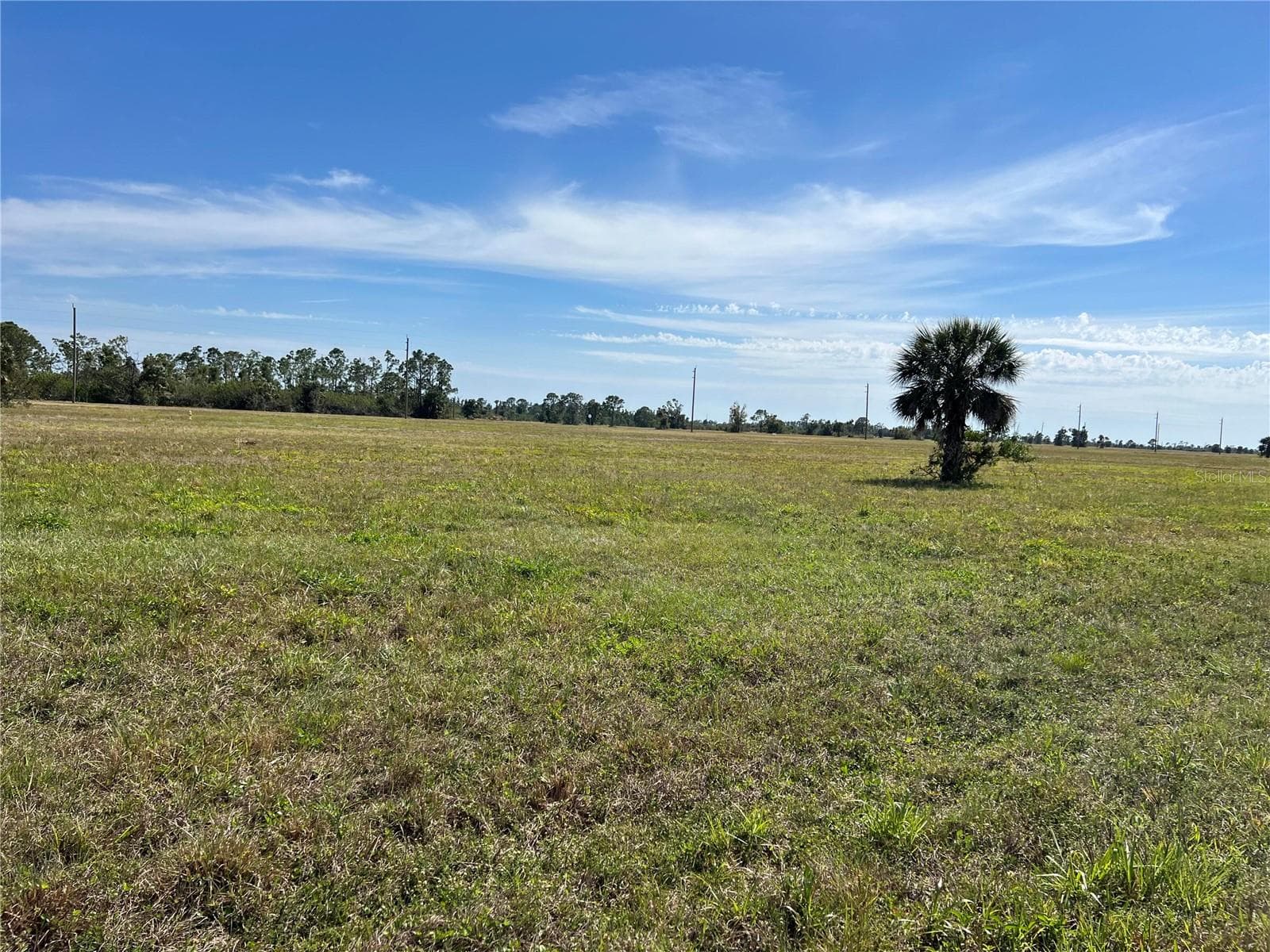 12368 GREENLING WAY — photo 3 of 13