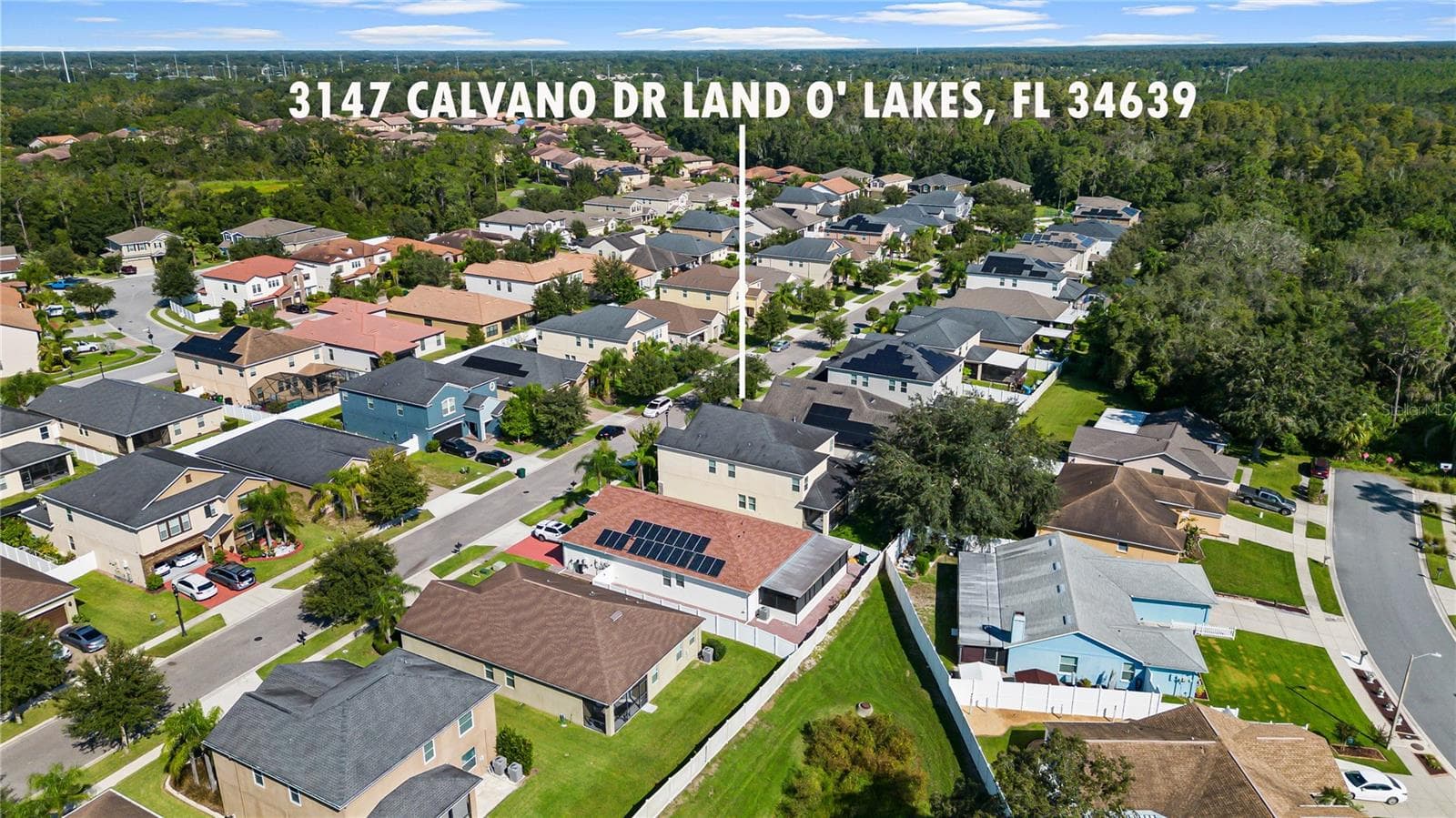 3147 CALVANO DRIVE — photo 56 of 63