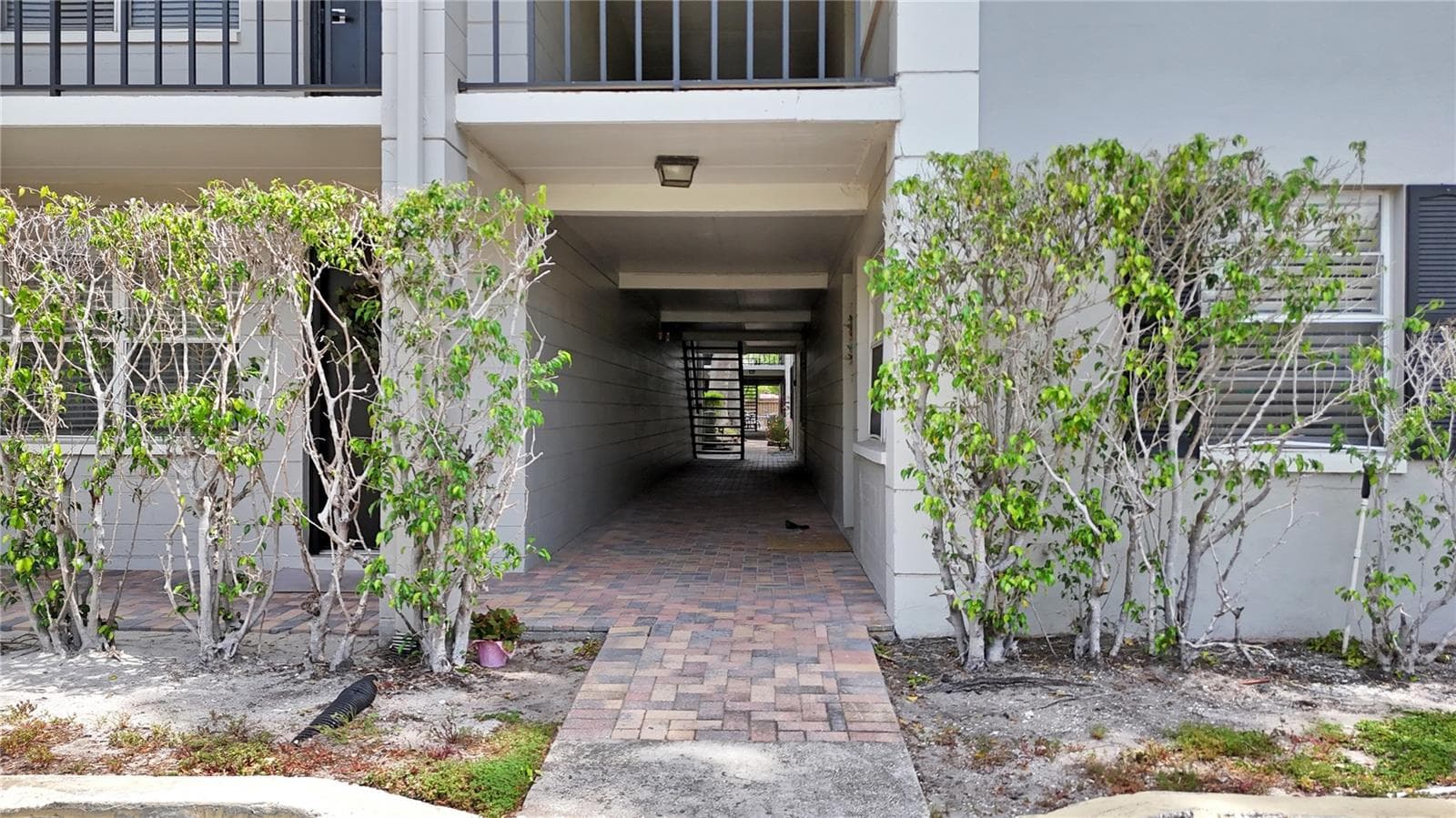 5221 BAYSHORE BOULEVARD — photo 17 of 28
