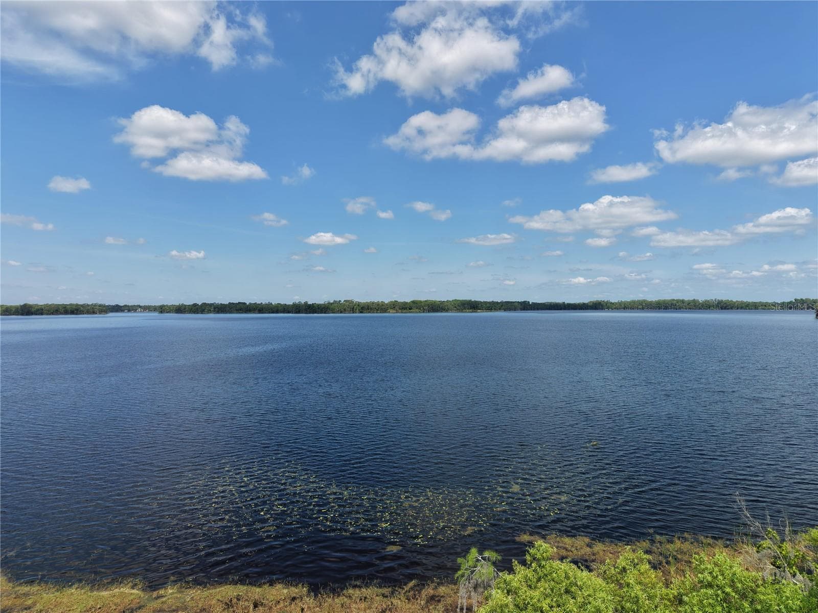 LAKE PICKETT RD — photo 11 of 12