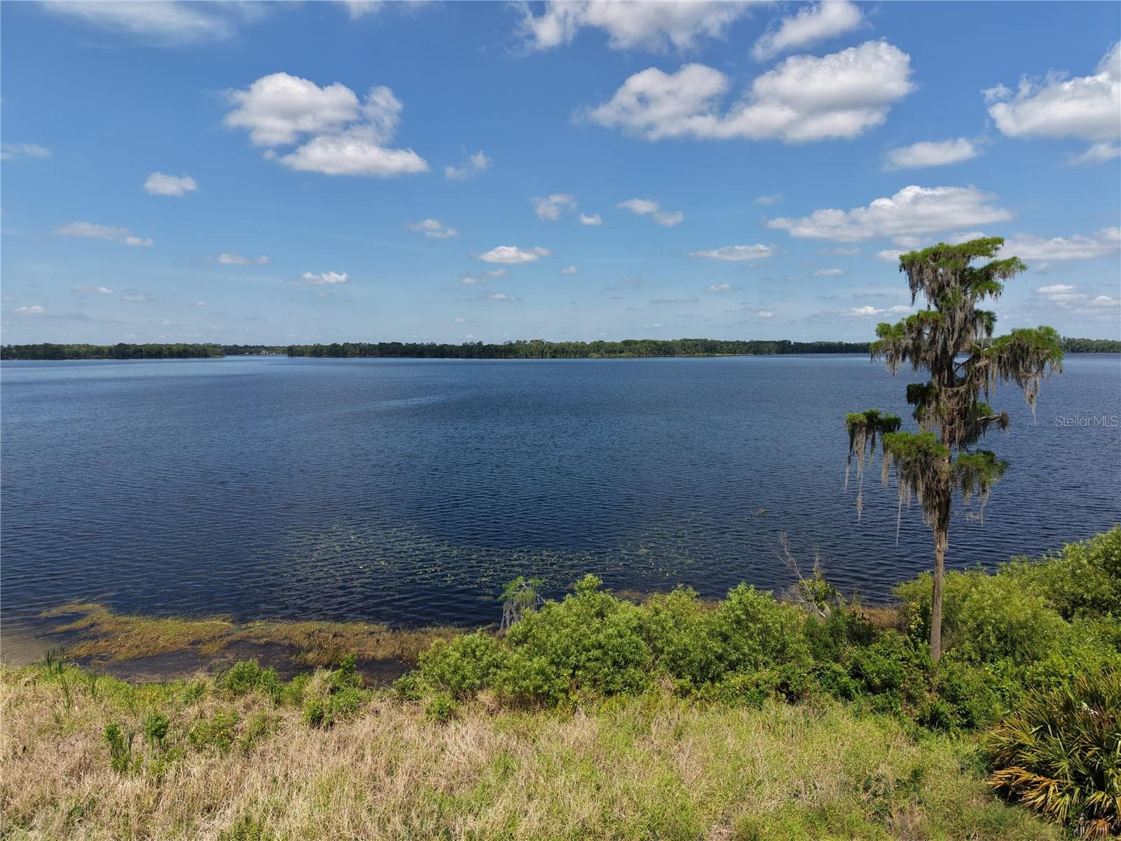 LAKE PICKETT RD — photo 10 of 12