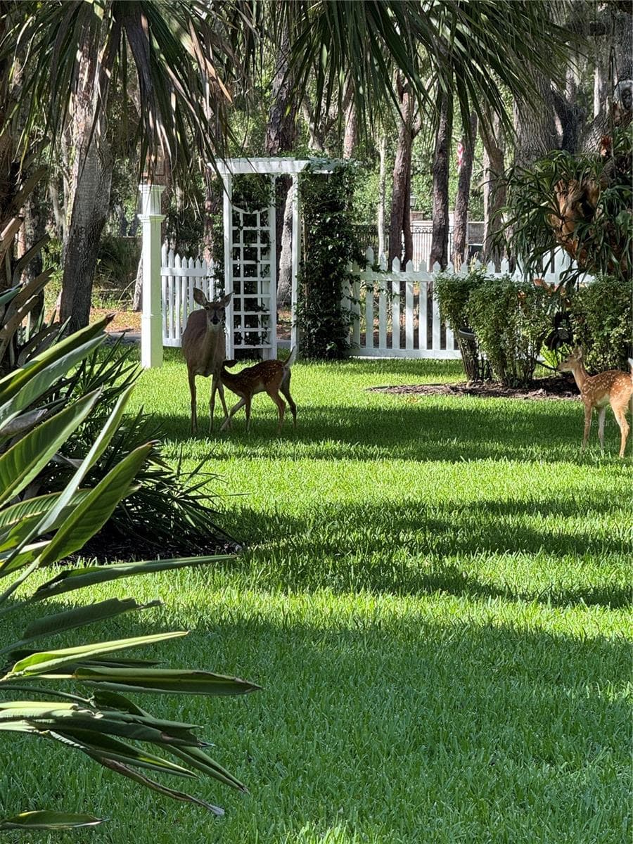 2810 SARASOTA GOLF CLUB BOULEVARD — photo 92 of 94
