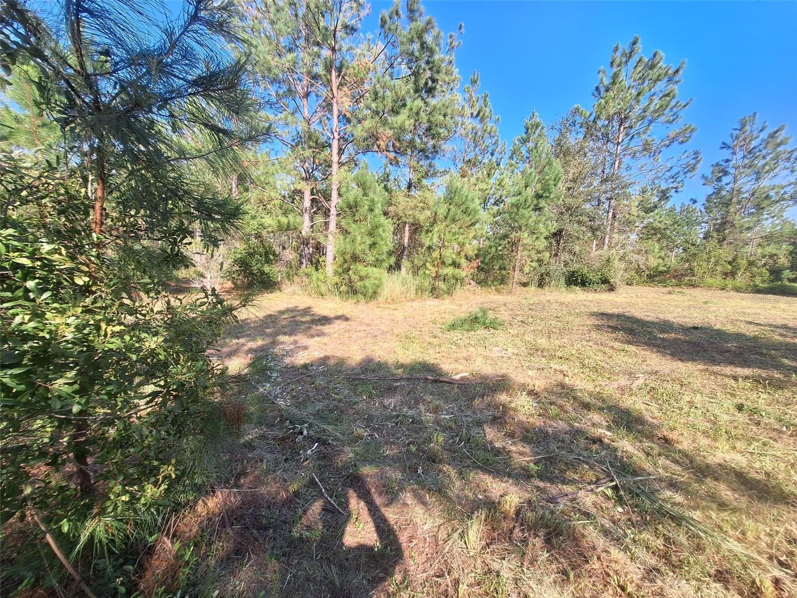 0 UNASSIGNED LOCATION RE — photo 7 of 10