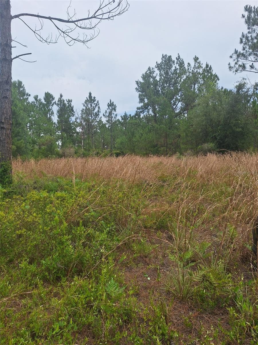 0 UNASSIGNED LOCATION RE — photo 5 of 10