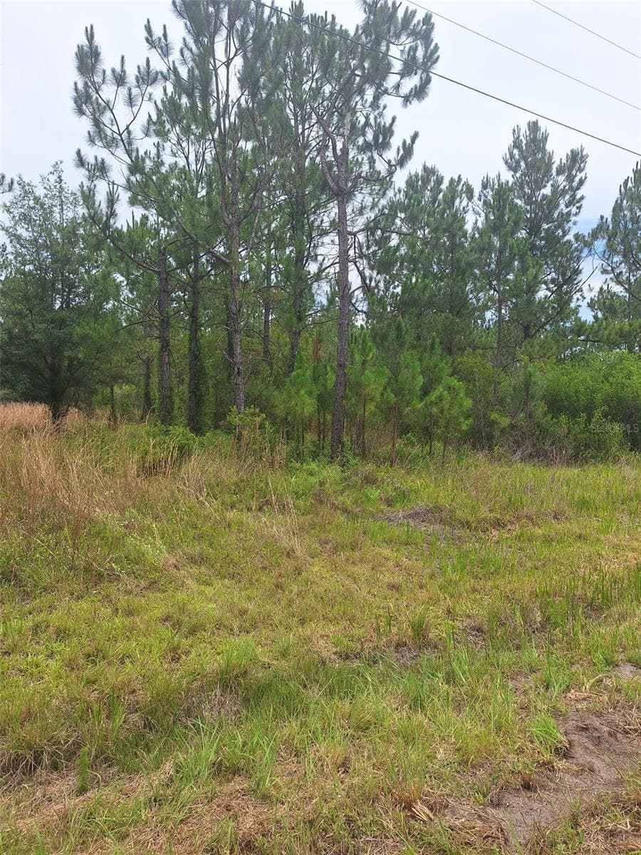 0 UNASSIGNED LOCATION RE — photo 6 of 10