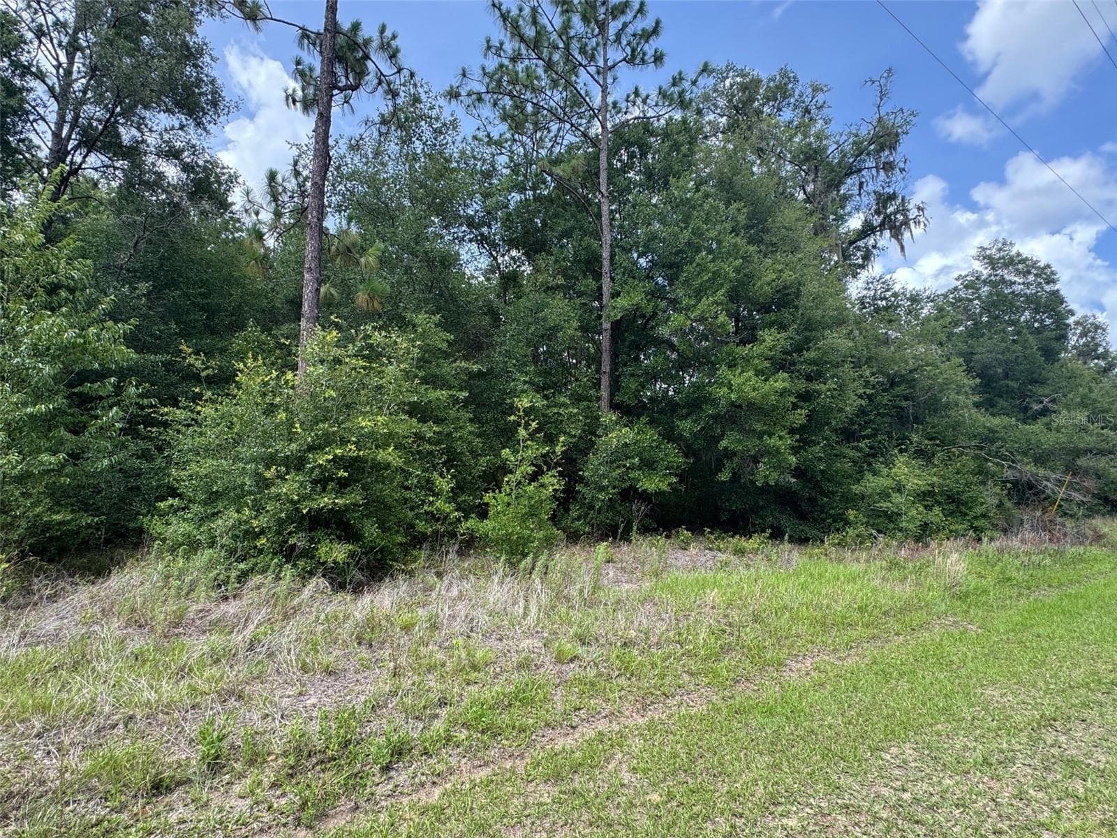 TBD 59 LANE — photo 4 of 5