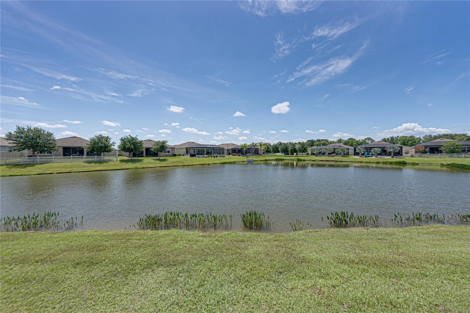 31785 TANSY BEND — photo 41 of 59