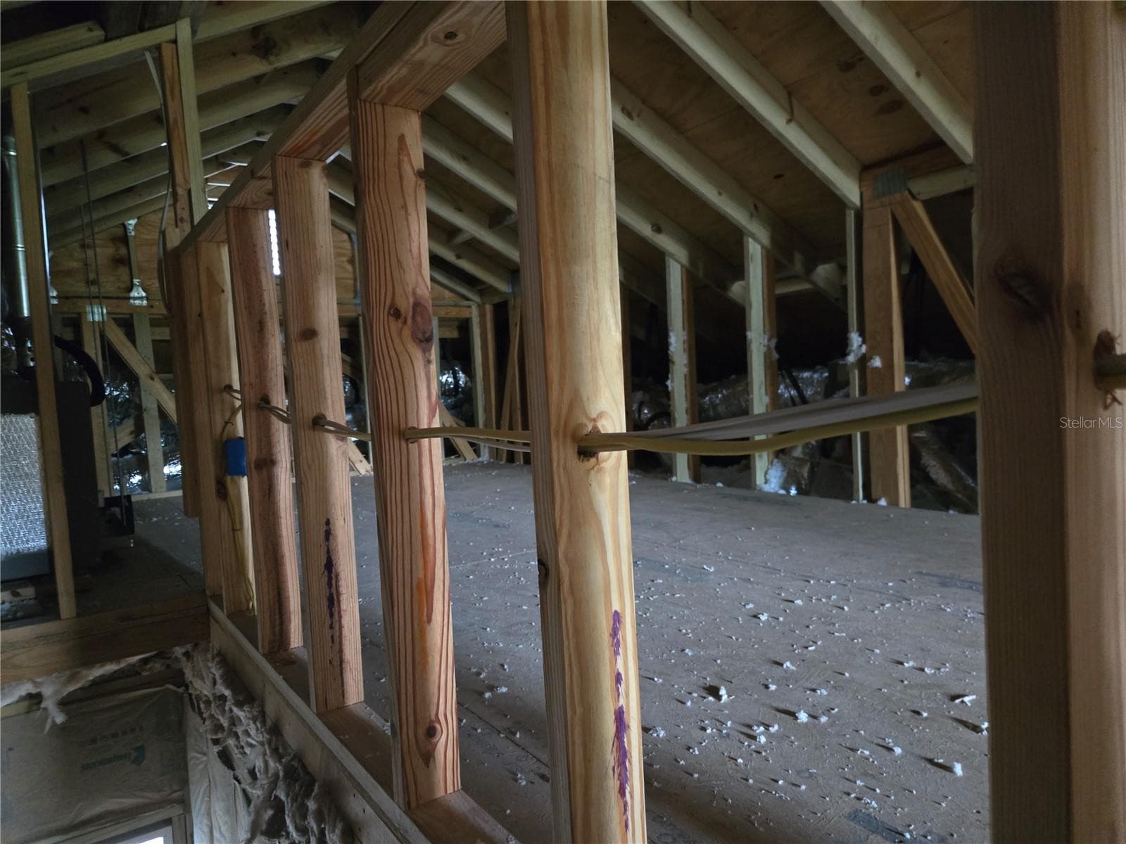 701 LINEBAUGH AVENUE — photo 11 of 24