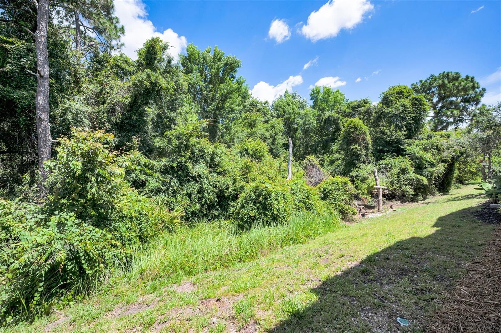 8525 SHALLOW CREEK — photo 46 of 59