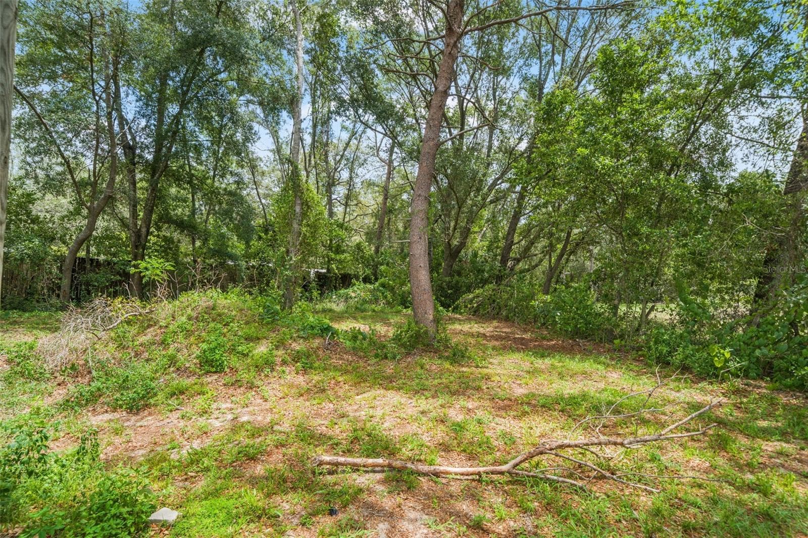 8343 YELLOW PINE AVENUE — photo 42 of 59