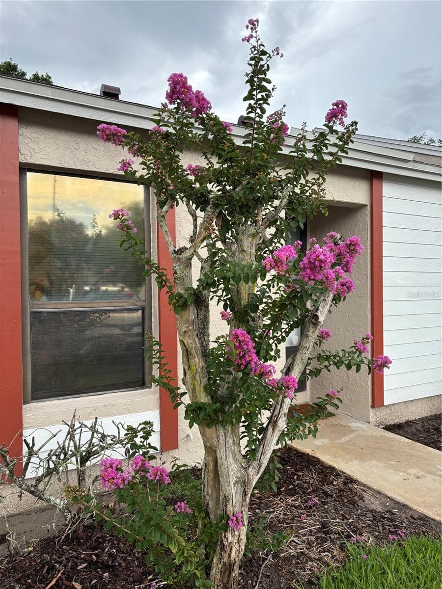 7733 COUNTRY PLACE — photo 1 of 21