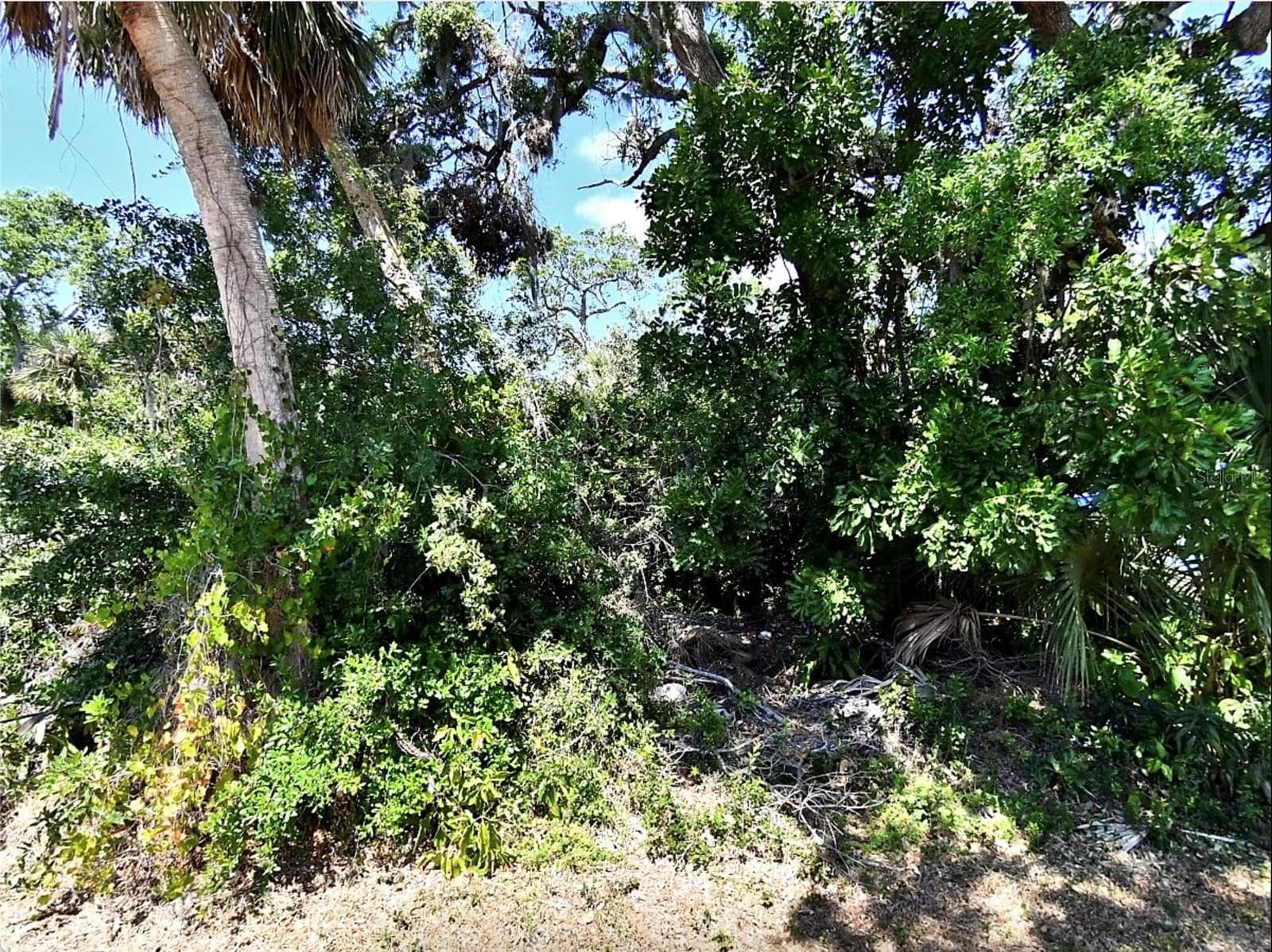 FOXGLOVE ROAD — photo 1 of 6