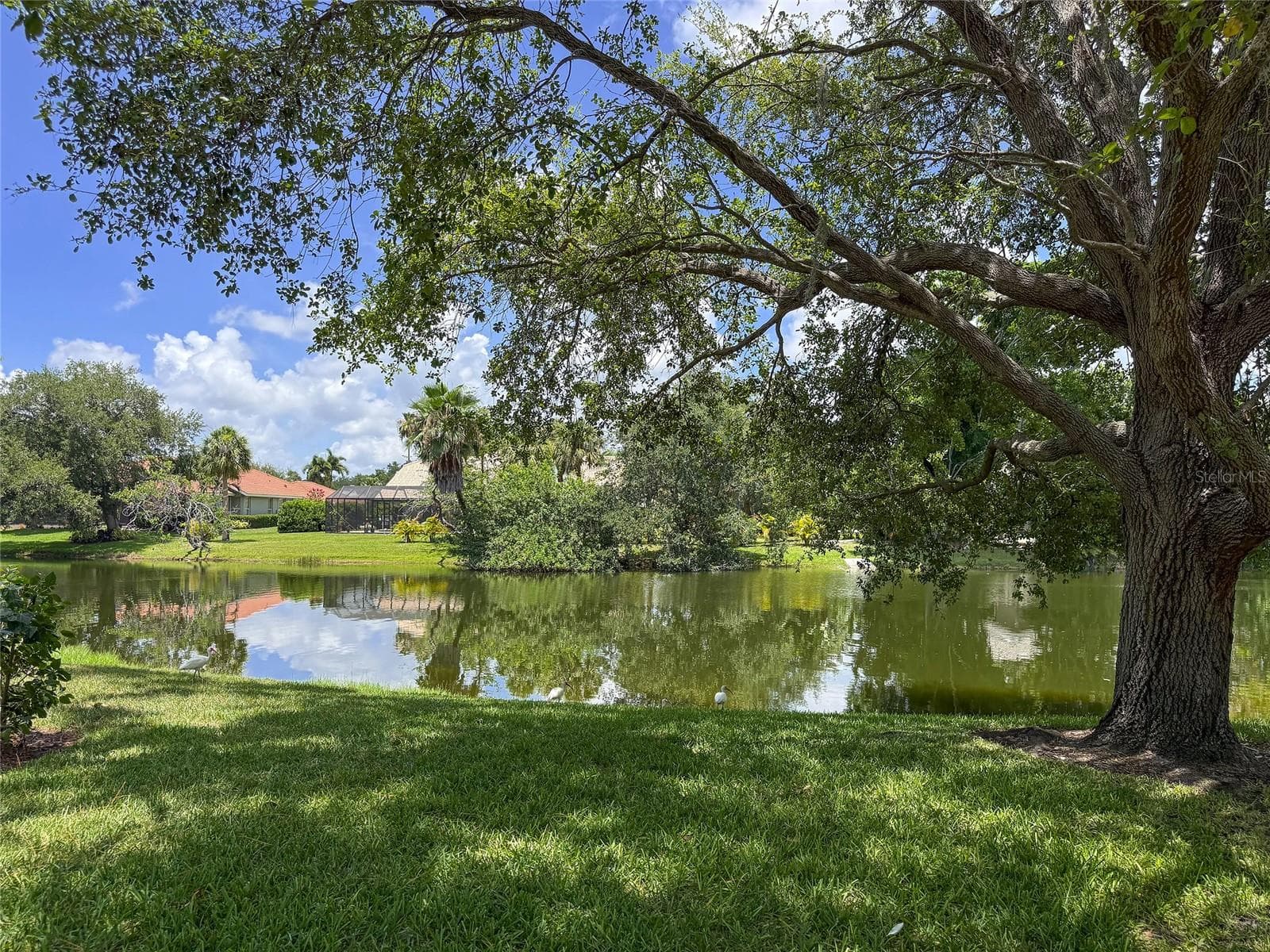 3731 SARASOTA SQUARE BOULEVARD — photo 47 of 54