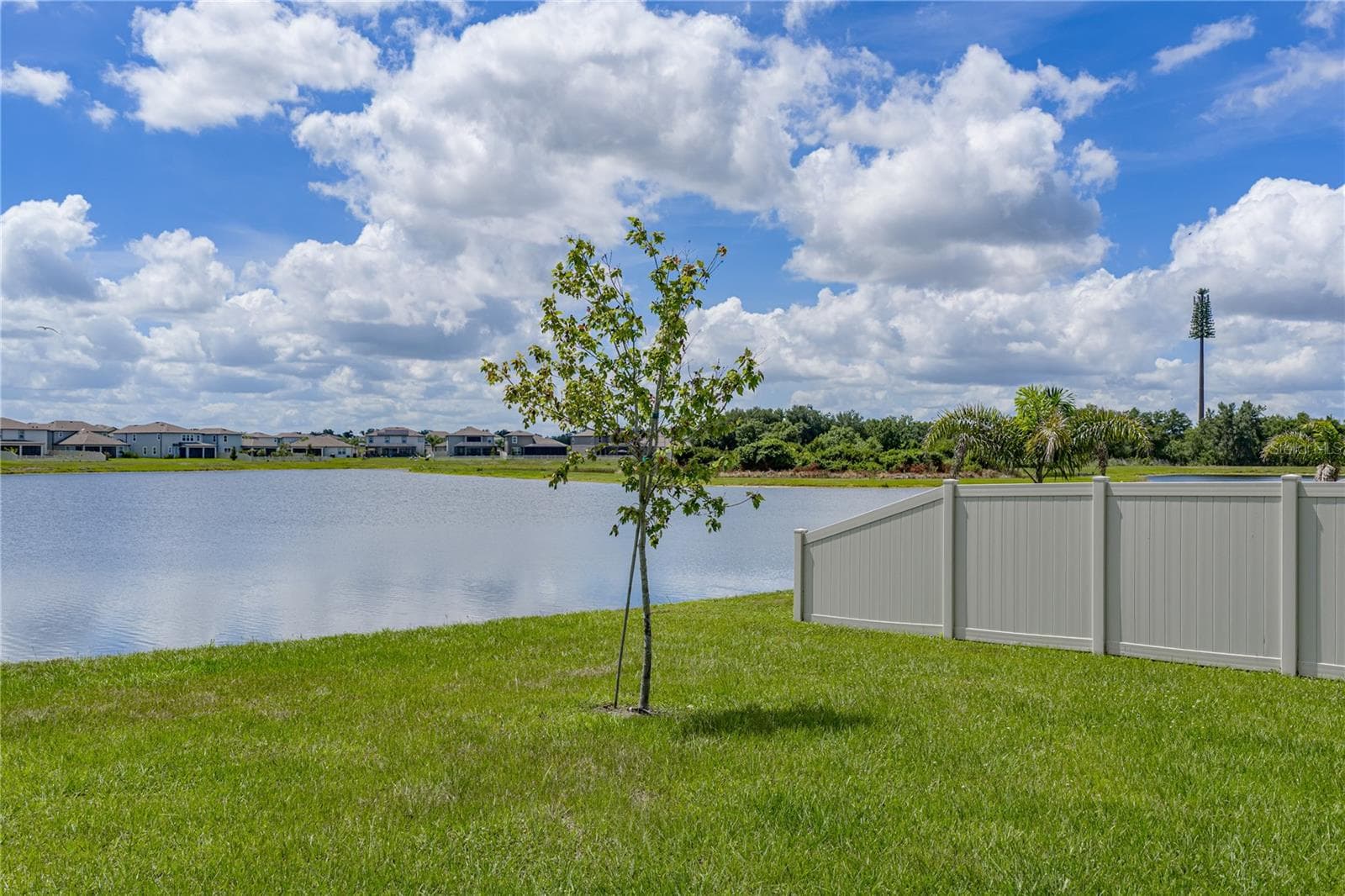 3062 LIVING CORAL STREET — photo 50 of 58
