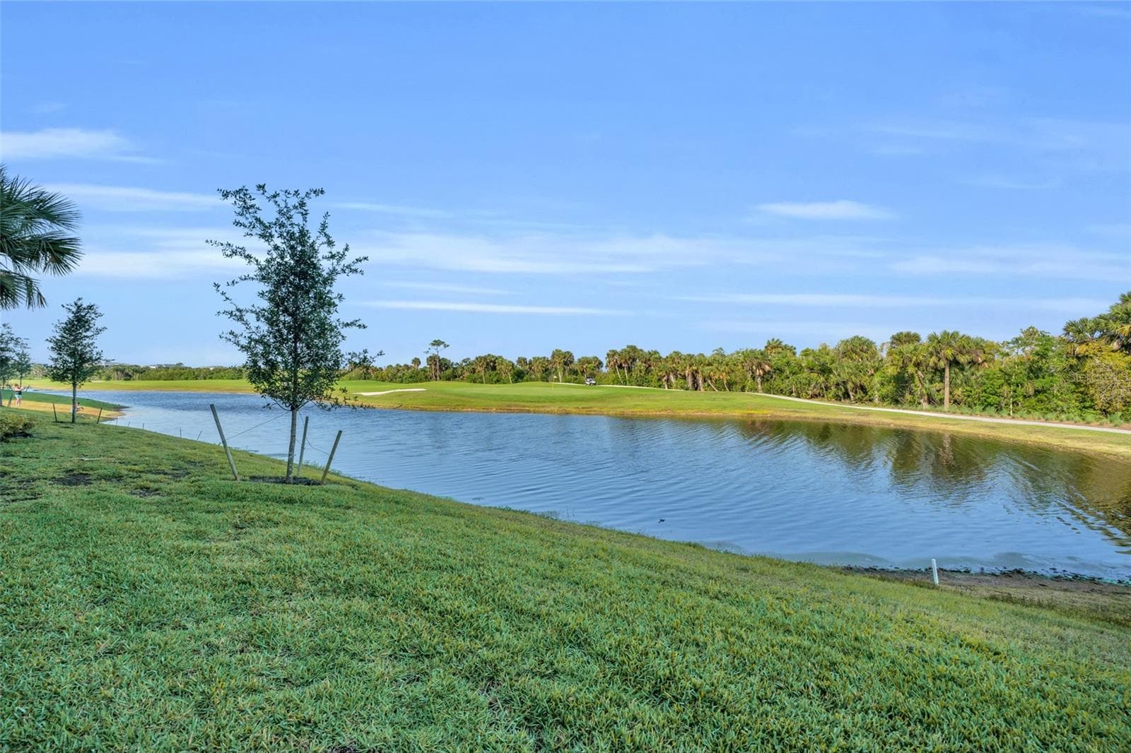 14041 HERITAGE LANDING BOULEVARD — photo 28 of 72