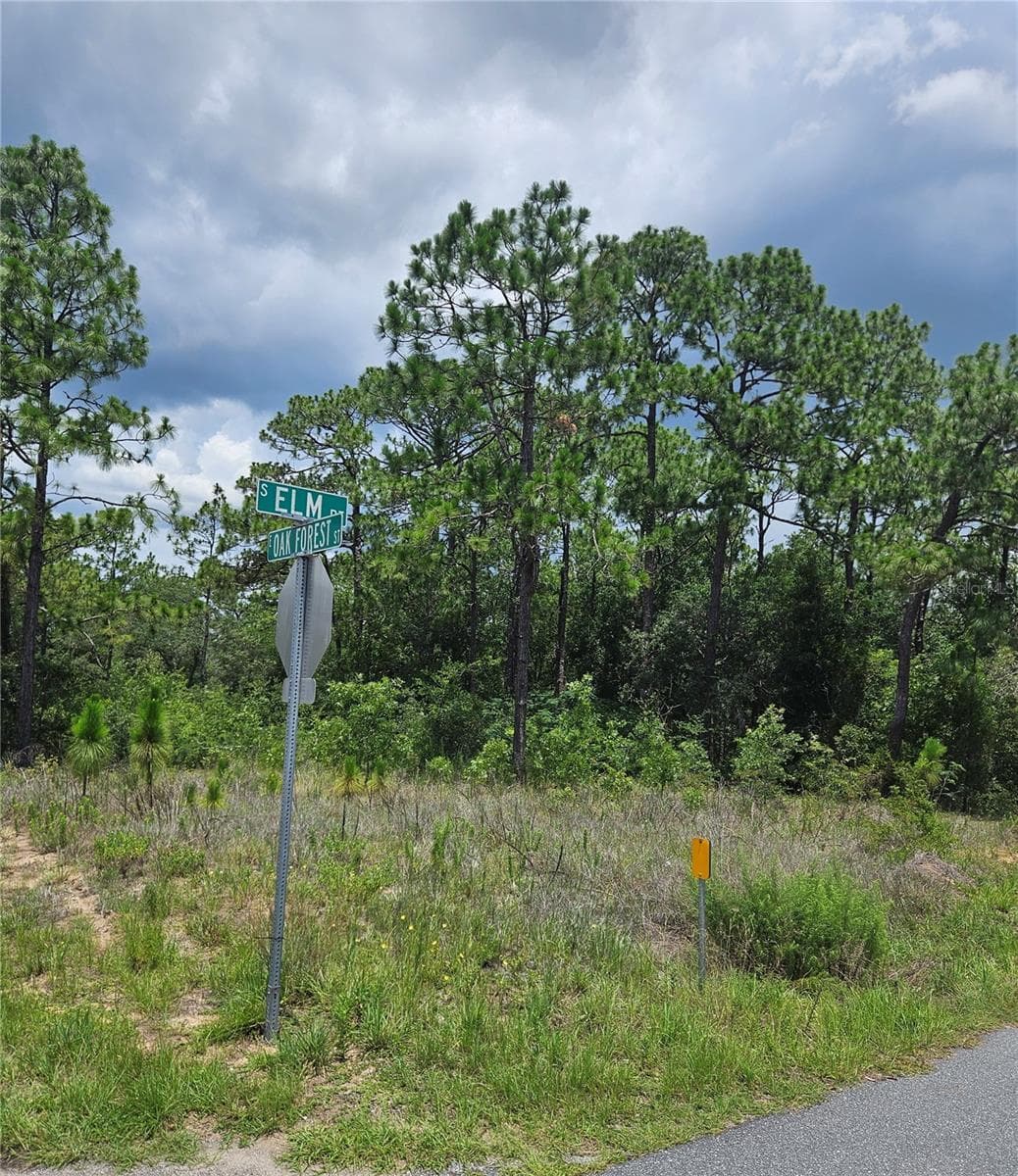 12350 ELM POINT — photo 4 of 8
