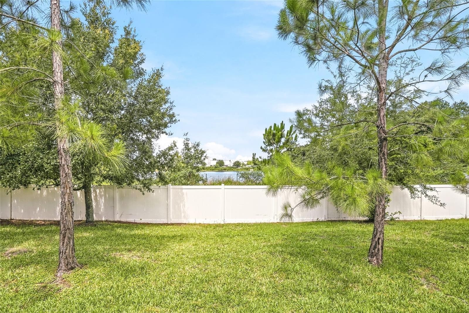 12911 DREAM CATCHER WAY — photo 40 of 55