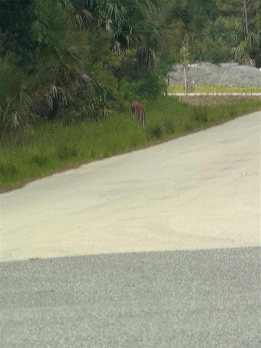 TBD 129TH LOOP — photo 3 of 3