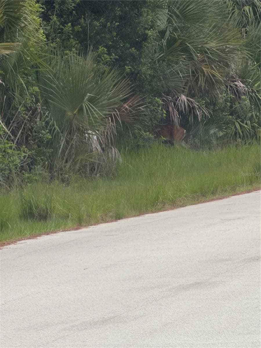TBD 129TH LOOP — photo 1 of 3