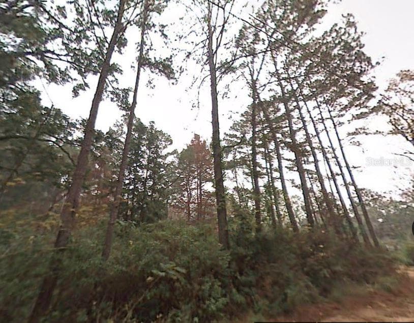 PICHARD DRIVE — photo 2 of 5
