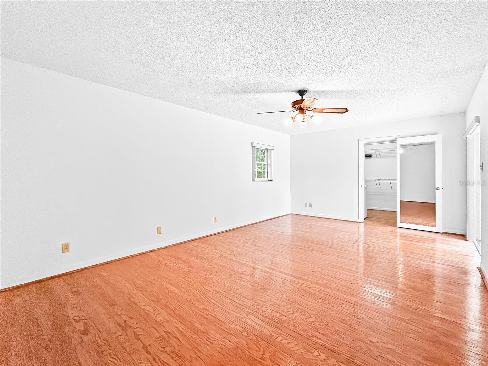 419 PINELLAS ROAD — photo 12 of 55