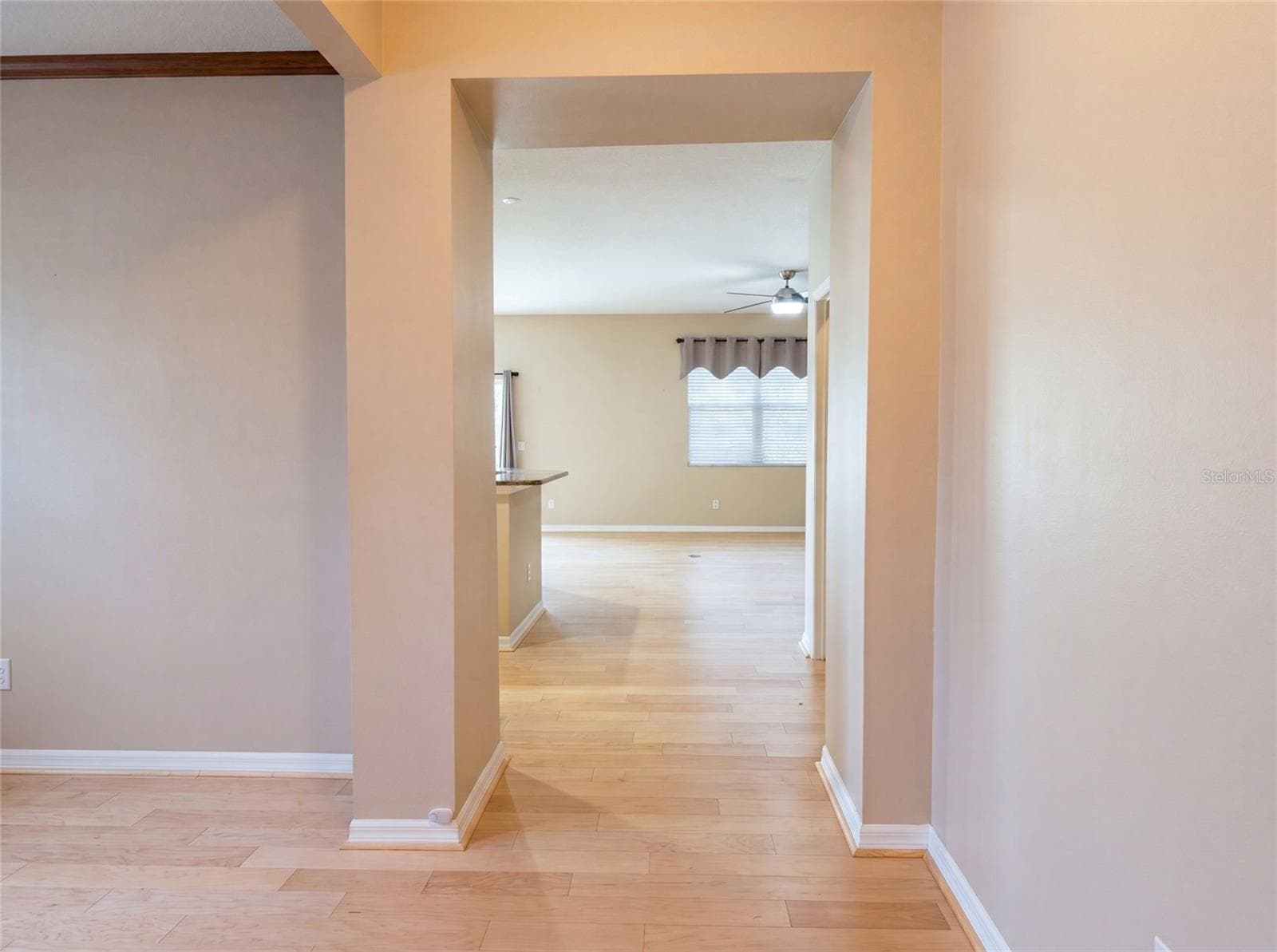 5605 WINDSONG OAK DRIVE — photo 9 of 24