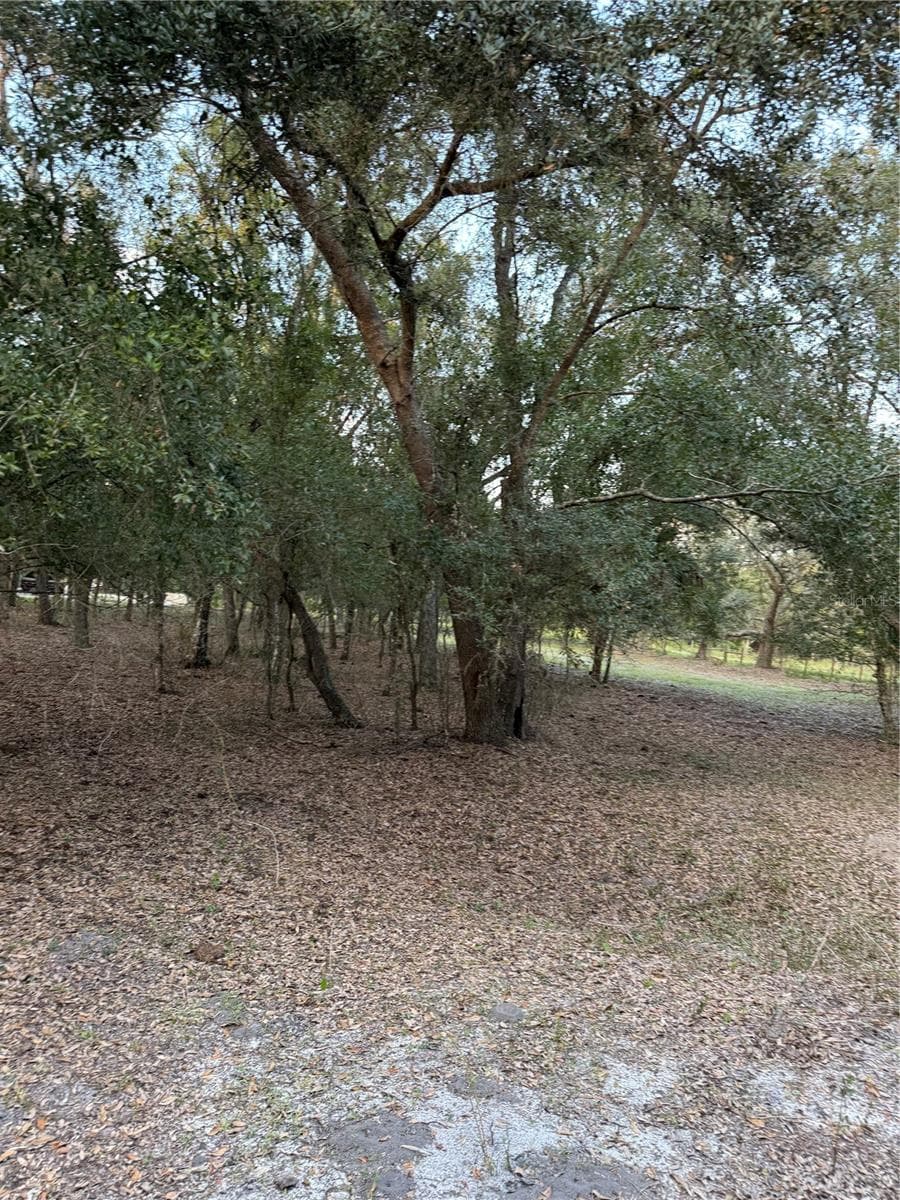 SE BROWN ROAD — photo 11 of 15