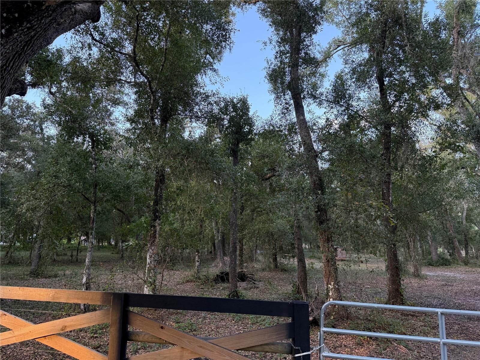 SE BROWN ROAD — photo 4 of 15