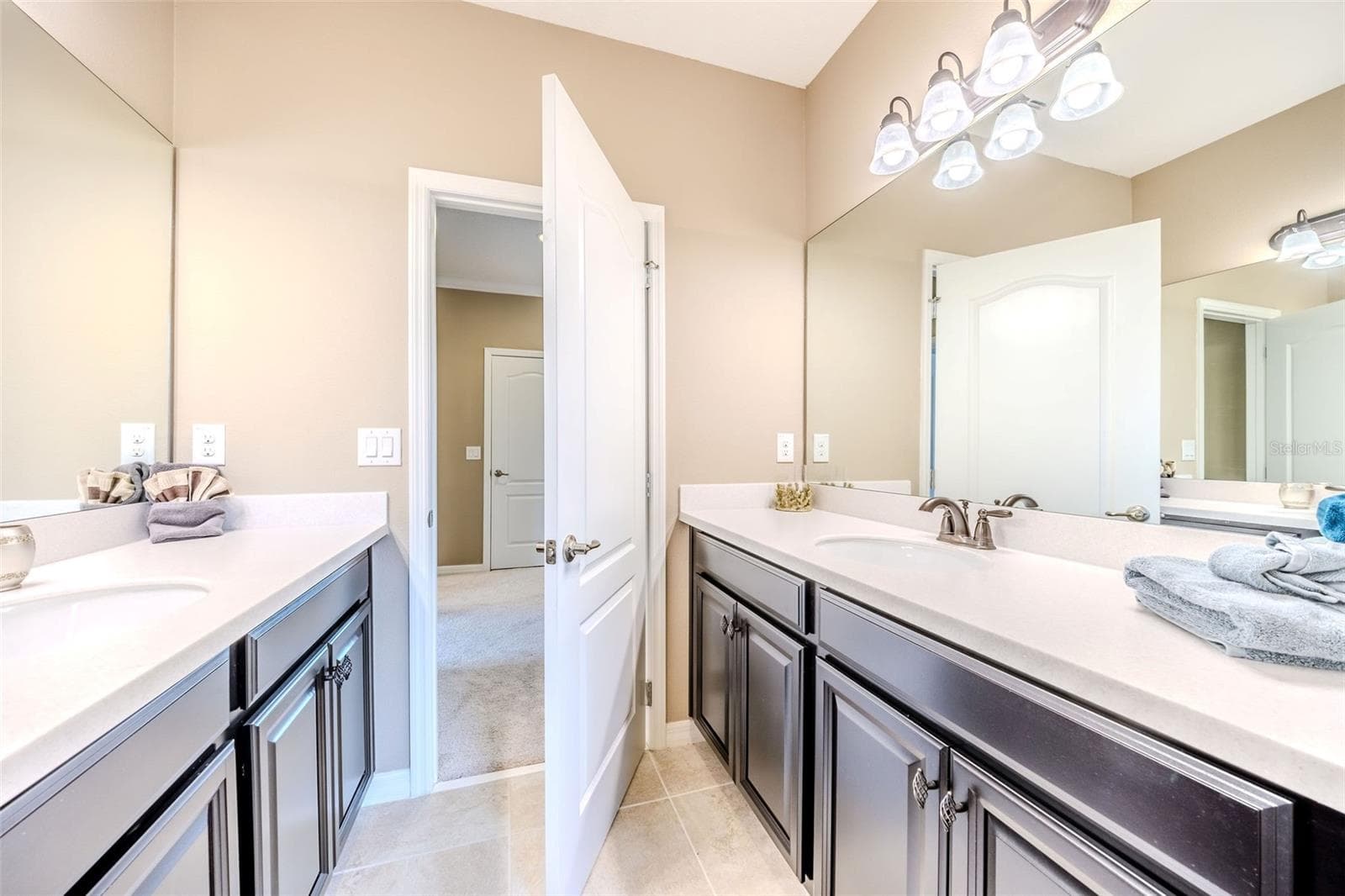 427 BLUE BIRCH COURT — photo 47 of 64