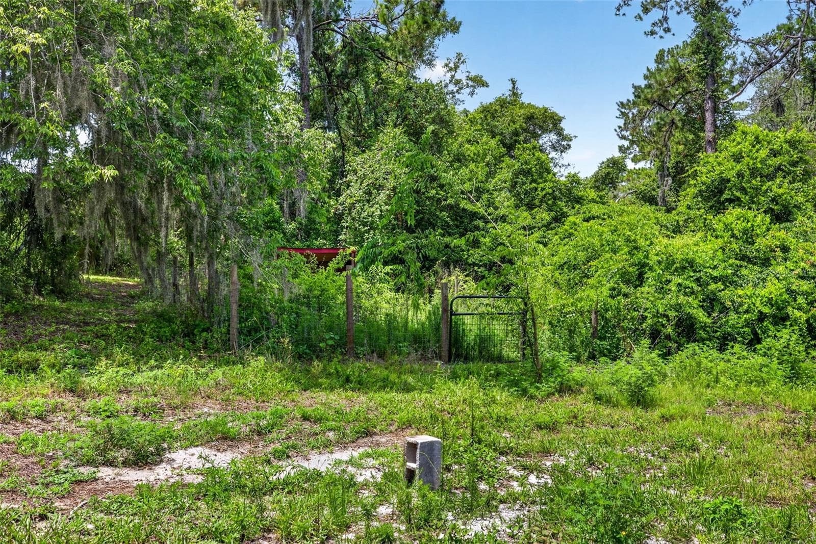 4243 NANCY CREEK BOULEVARD — photo 89 of 94