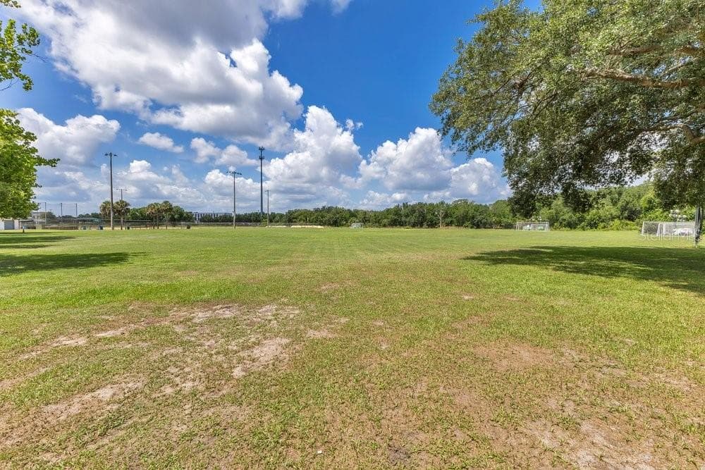 2462 MILL RUN BOULEVARD — photo 44 of 46