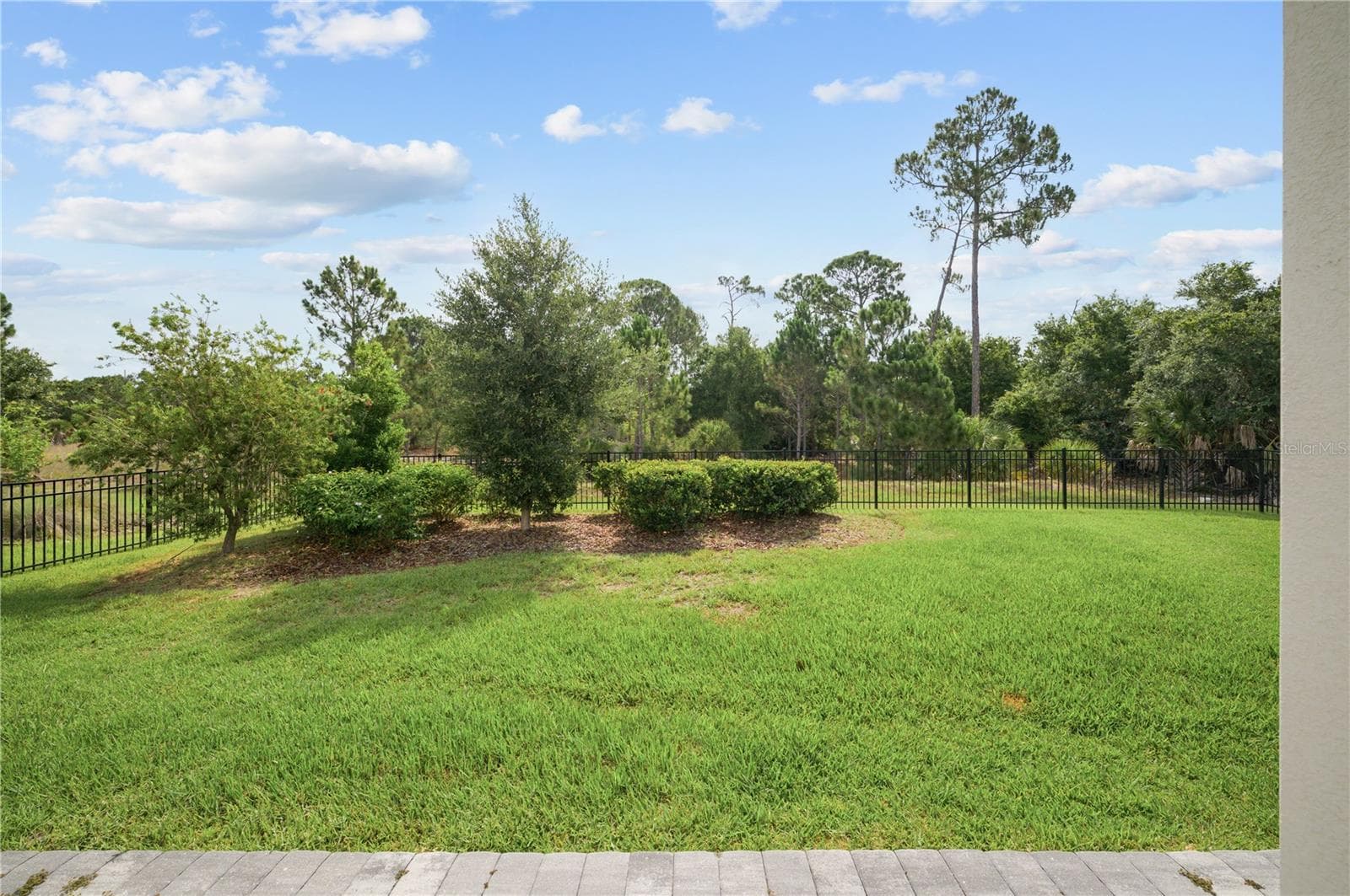 2032 MIDNIGHT PEARL DRIVE — photo 40 of 44