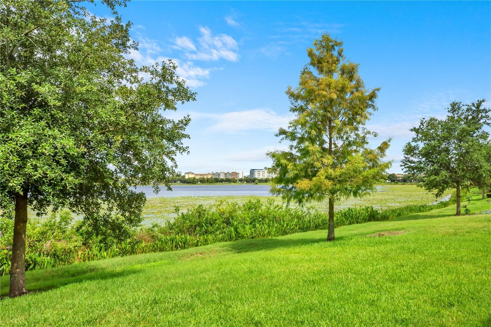 11322 LEMON LAKE BOULEVARD — photo 47 of 48