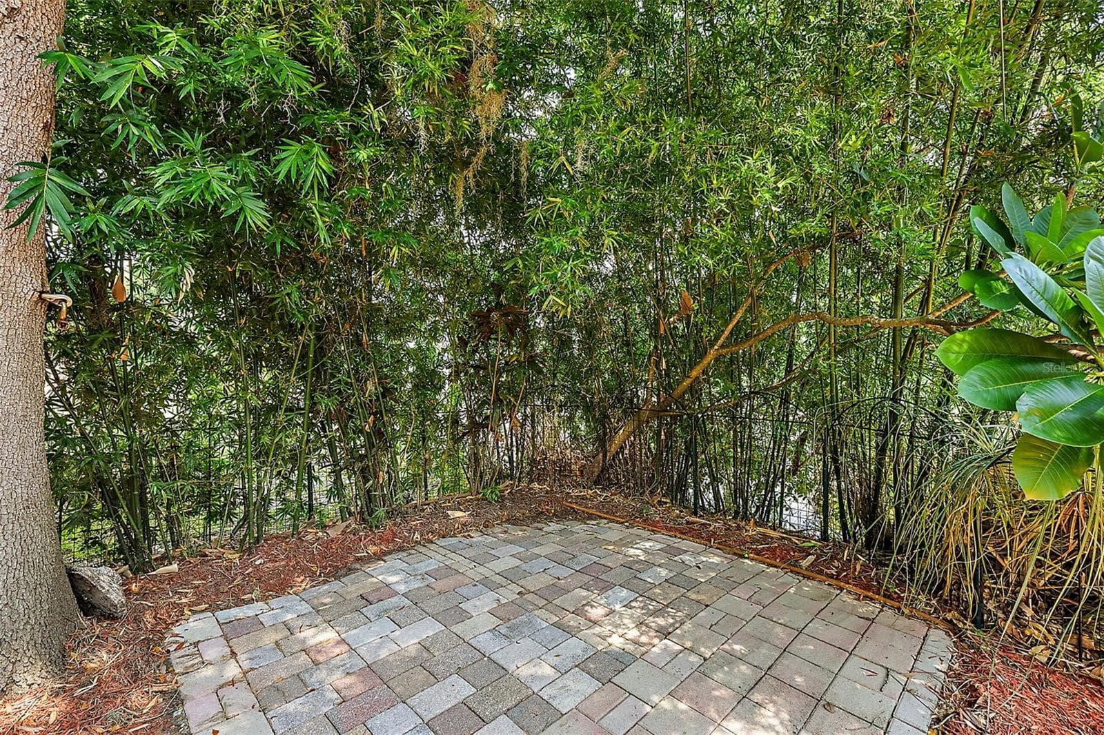 507 LAKESHORE DRIVE — photo 36 of 58