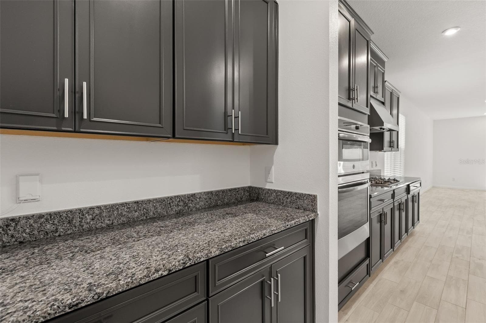 1151 LAKESIDE ESTATES DRIVE — photo 9 of 44