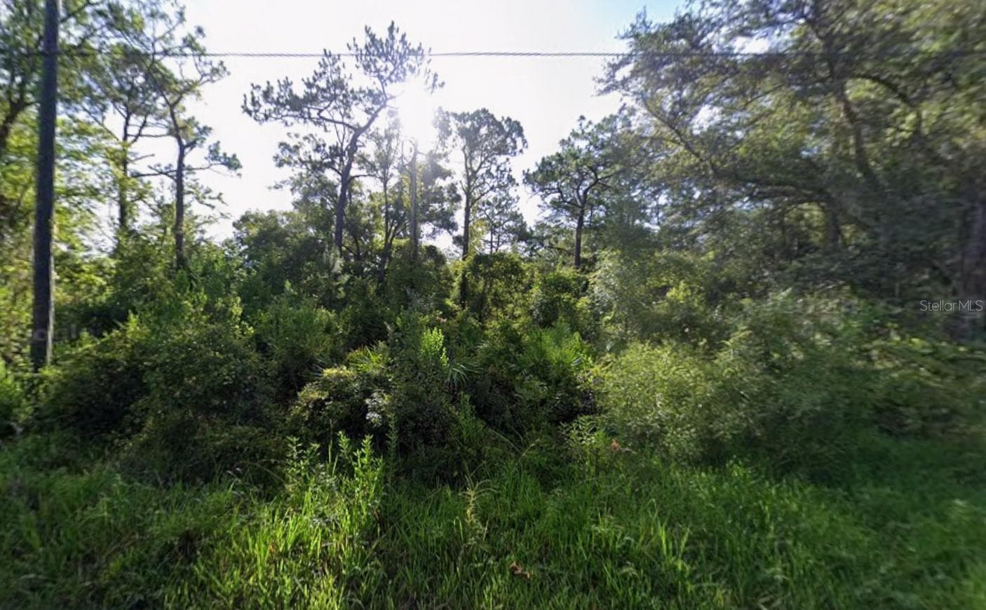 ATLEE STREET — photo 1 of 3