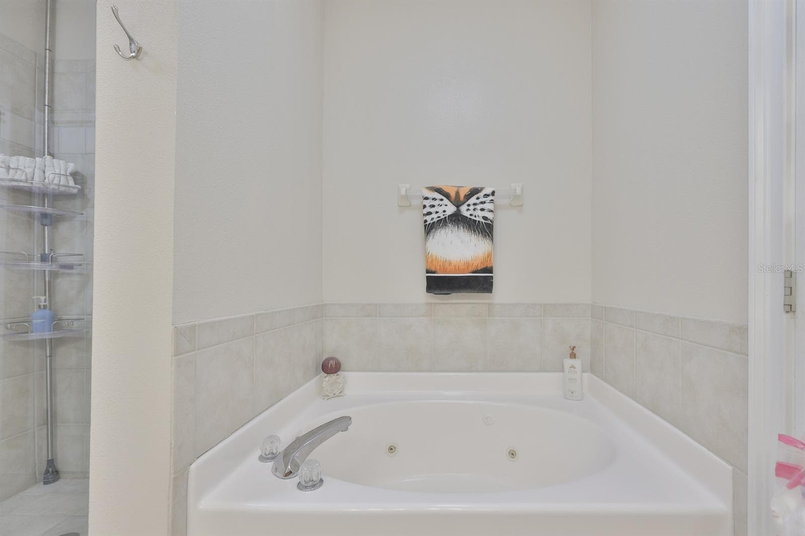 6432 SUNSET BAY CIRCLE — photo 35 of 47