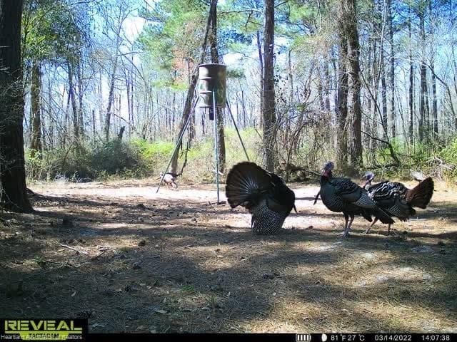17470 COUNTY ROAD 731 — photo 23 of 37