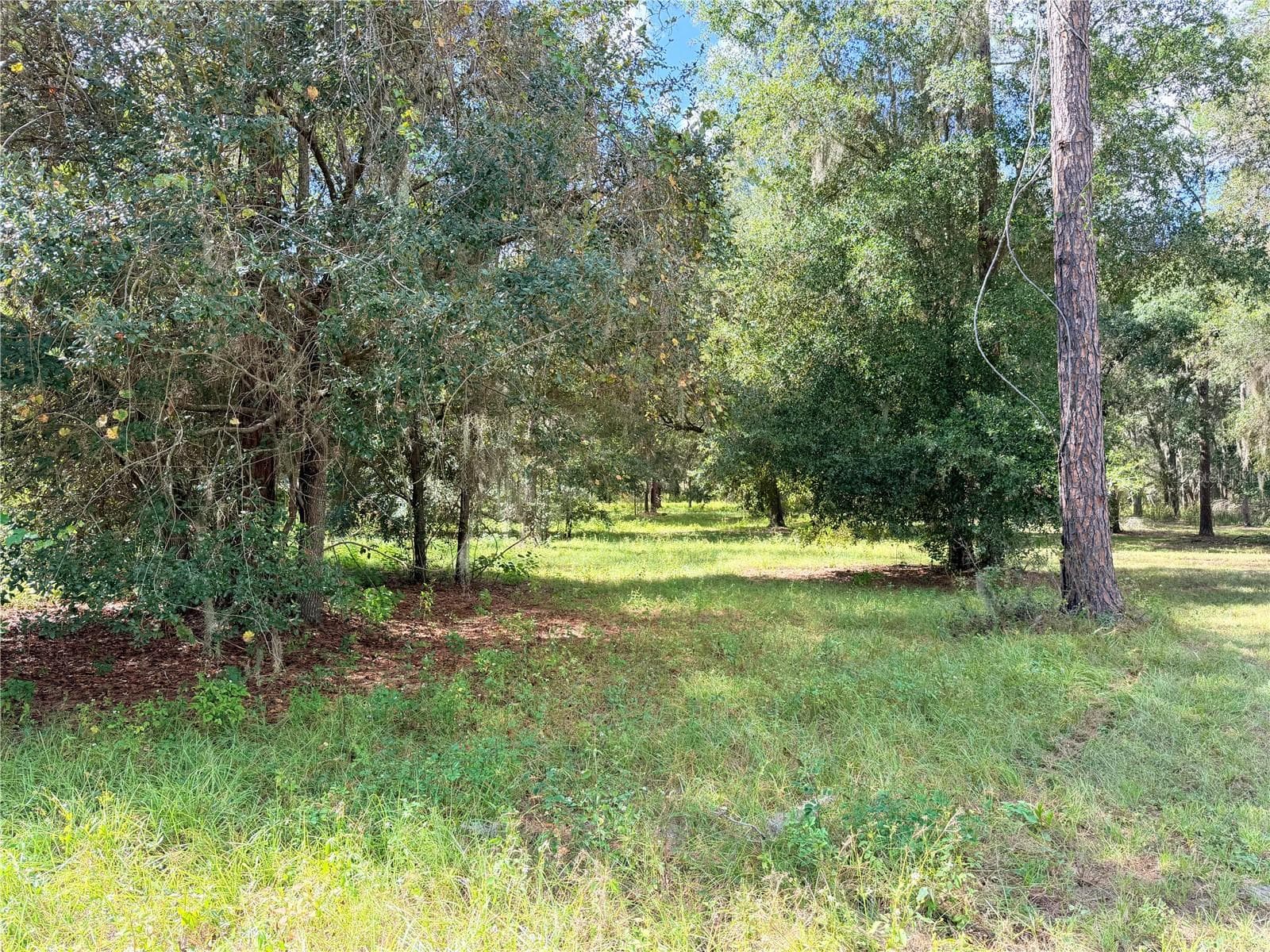 BONSMARA DRIVE — photo 1 of 18