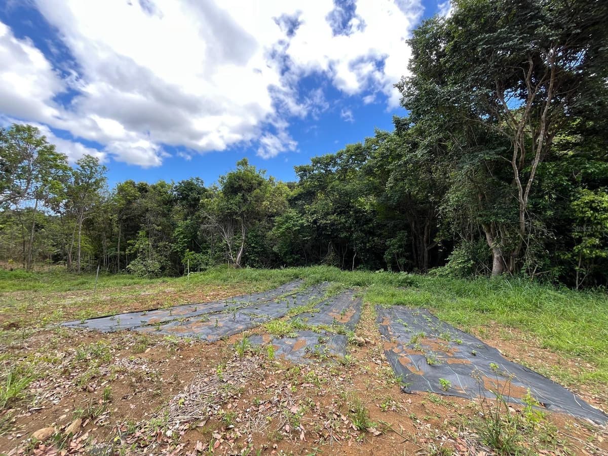 LOT 5 KM 2.5 CARRETERA 856 — photo 1 of 9