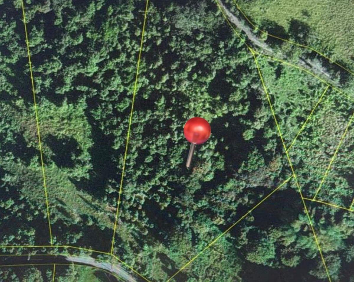 LOT 5 KM 2.5 CARRETERA 856 — photo 9 of 9