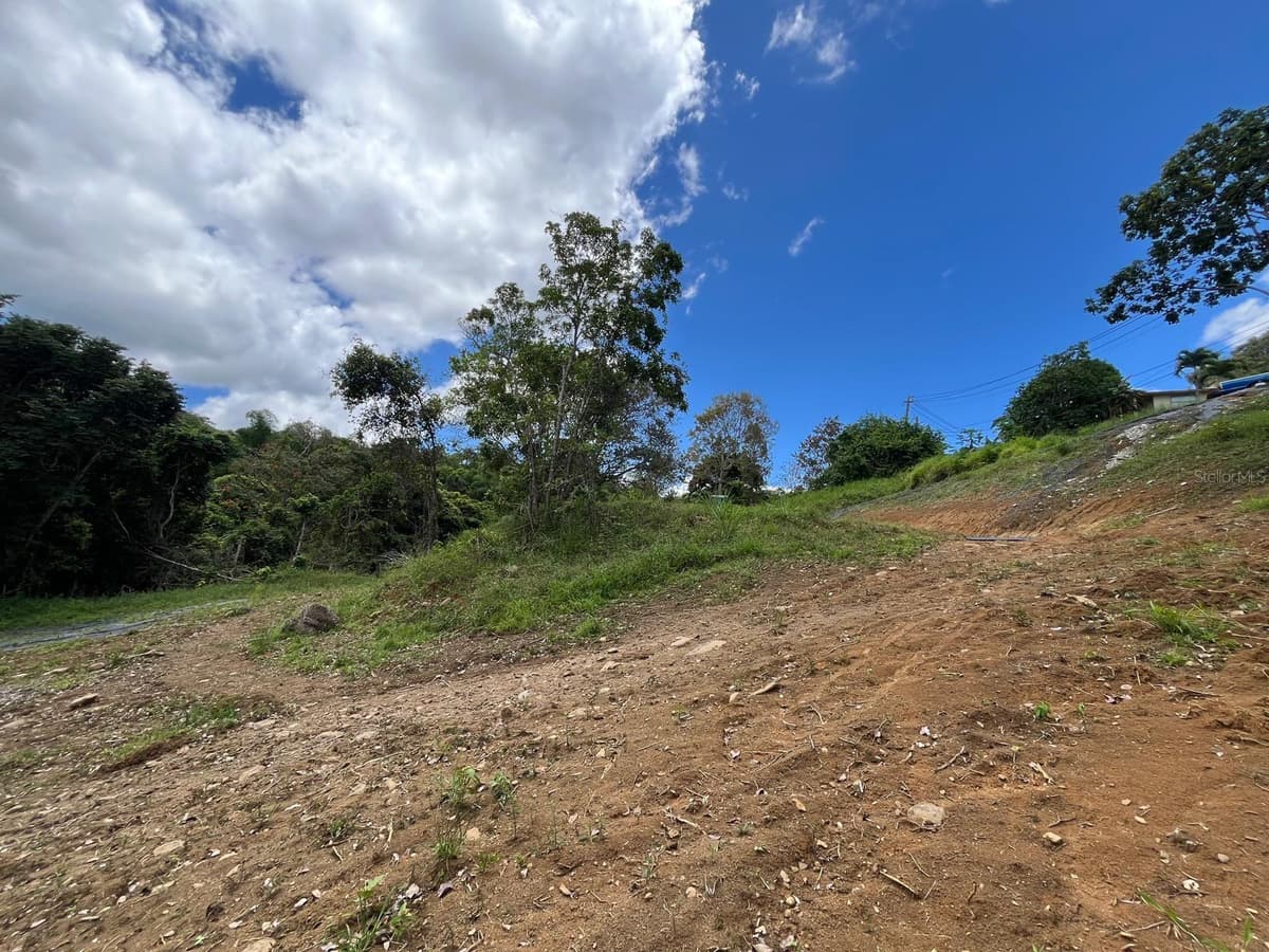 LOT 5 KM 2.5 CARRETERA 856 — photo 4 of 9