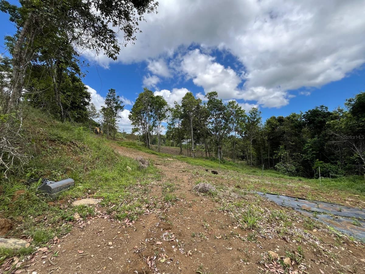 LOT 5 KM 2.5 CARRETERA 856 — photo 6 of 9