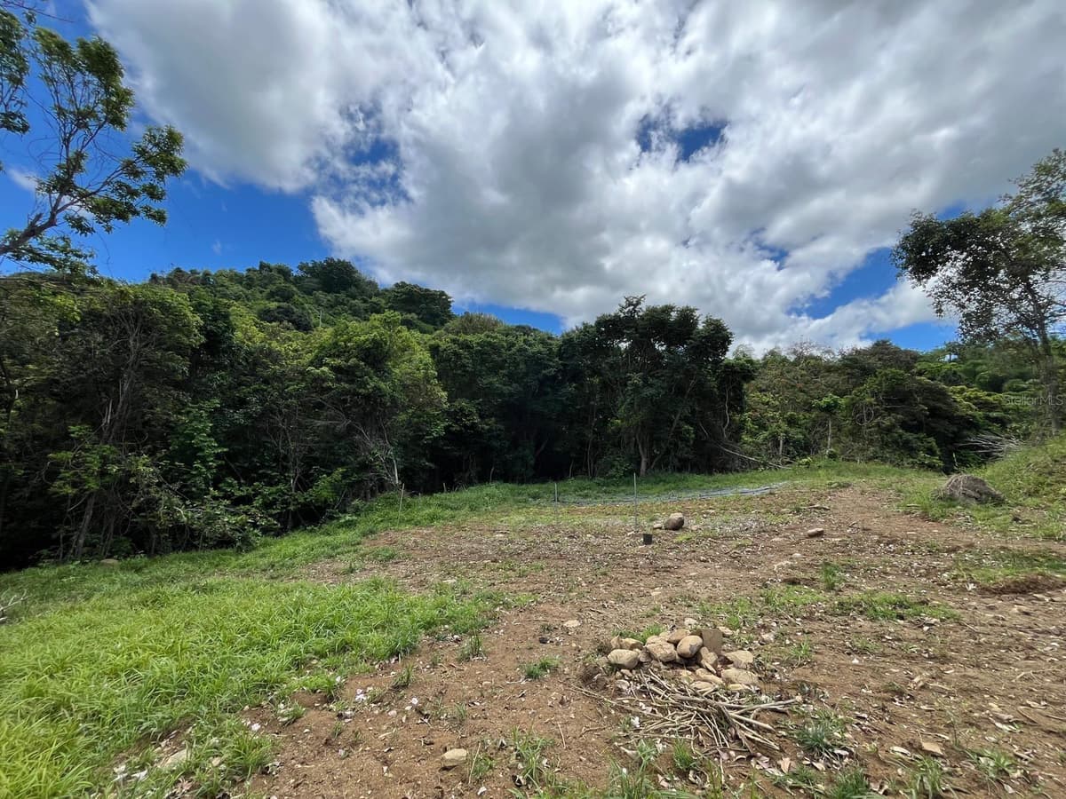 LOT 5 KM 2.5 CARRETERA 856 — photo 5 of 9