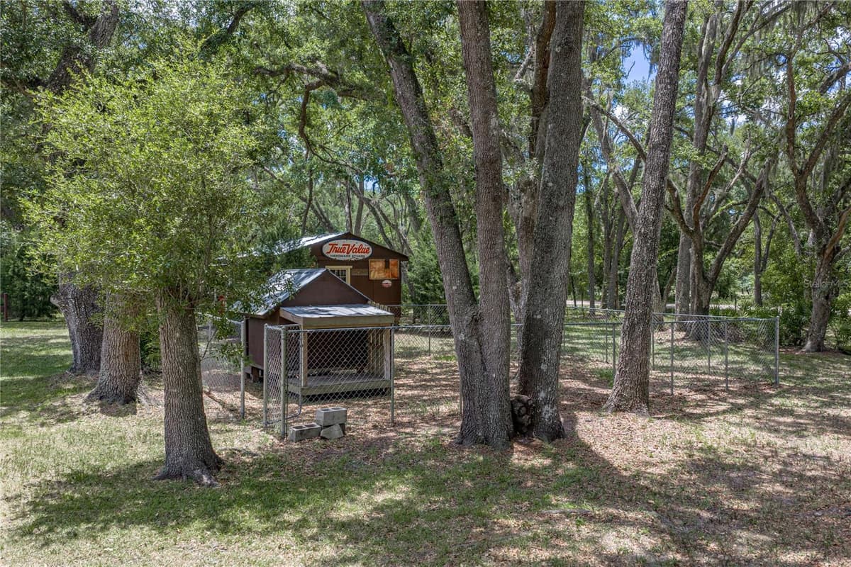 13031 BELLAMY BROTHERS BOULEVARD — photo 58 of 66