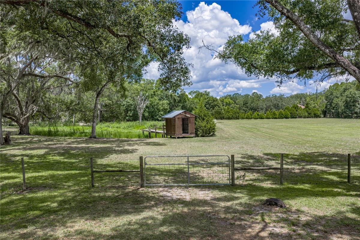 13031 BELLAMY BROTHERS BOULEVARD — photo 59 of 66