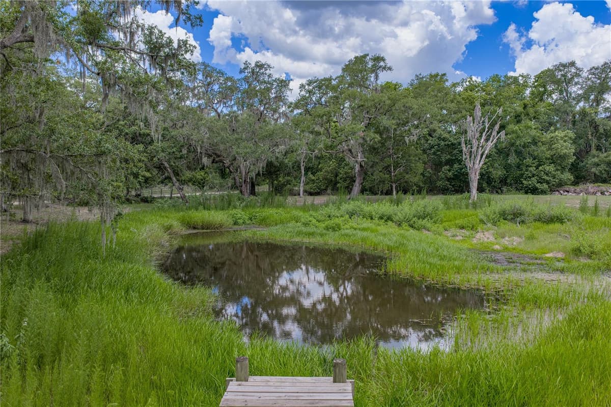 13031 BELLAMY BROTHERS BOULEVARD — photo 61 of 66